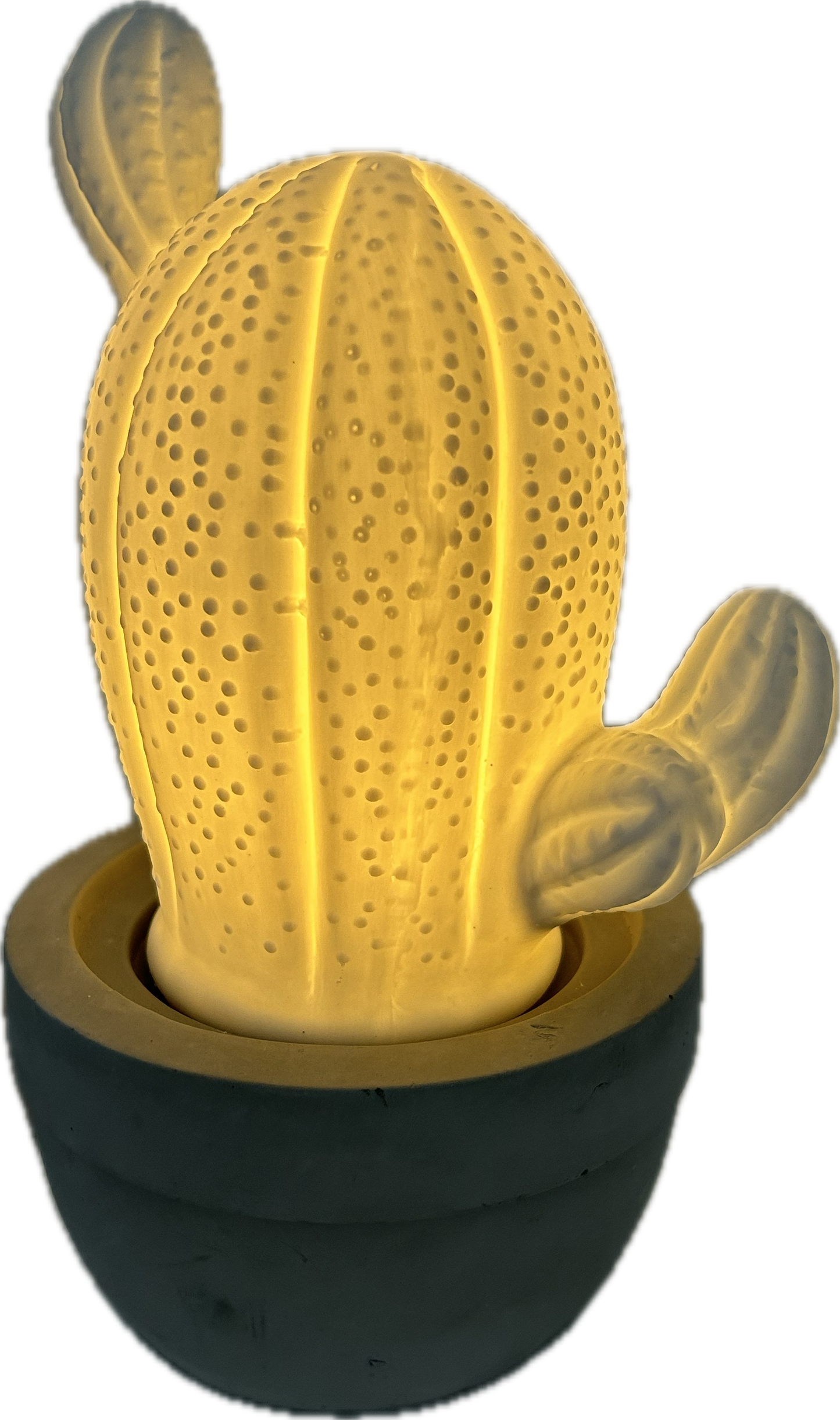 Tischlampe Kaktus aus Beton, Tischleuchte, Nachtlicht NINO Stehlampe